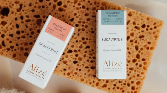 13 Benefits of Eucalyptus Essential Oil | Alize Living