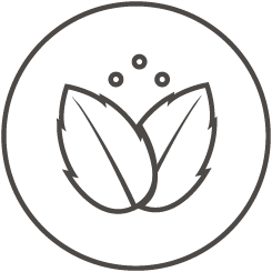 VEGAN