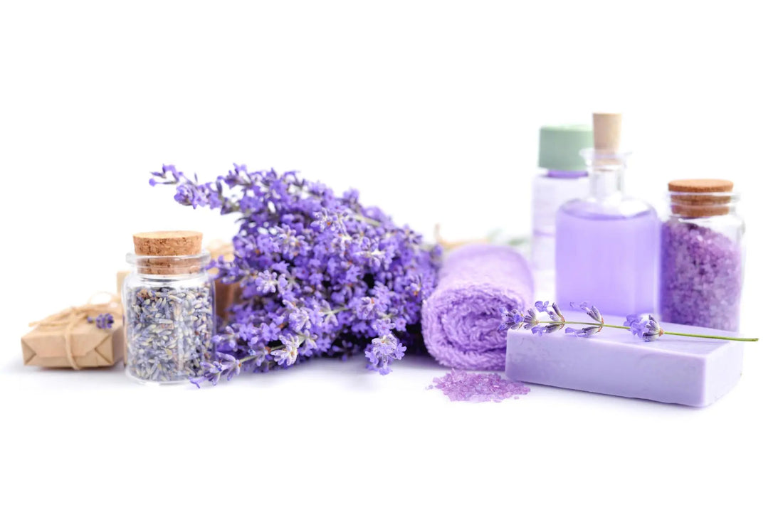 Lavender Essential Oil Benefits for Hair: A Complete Guide