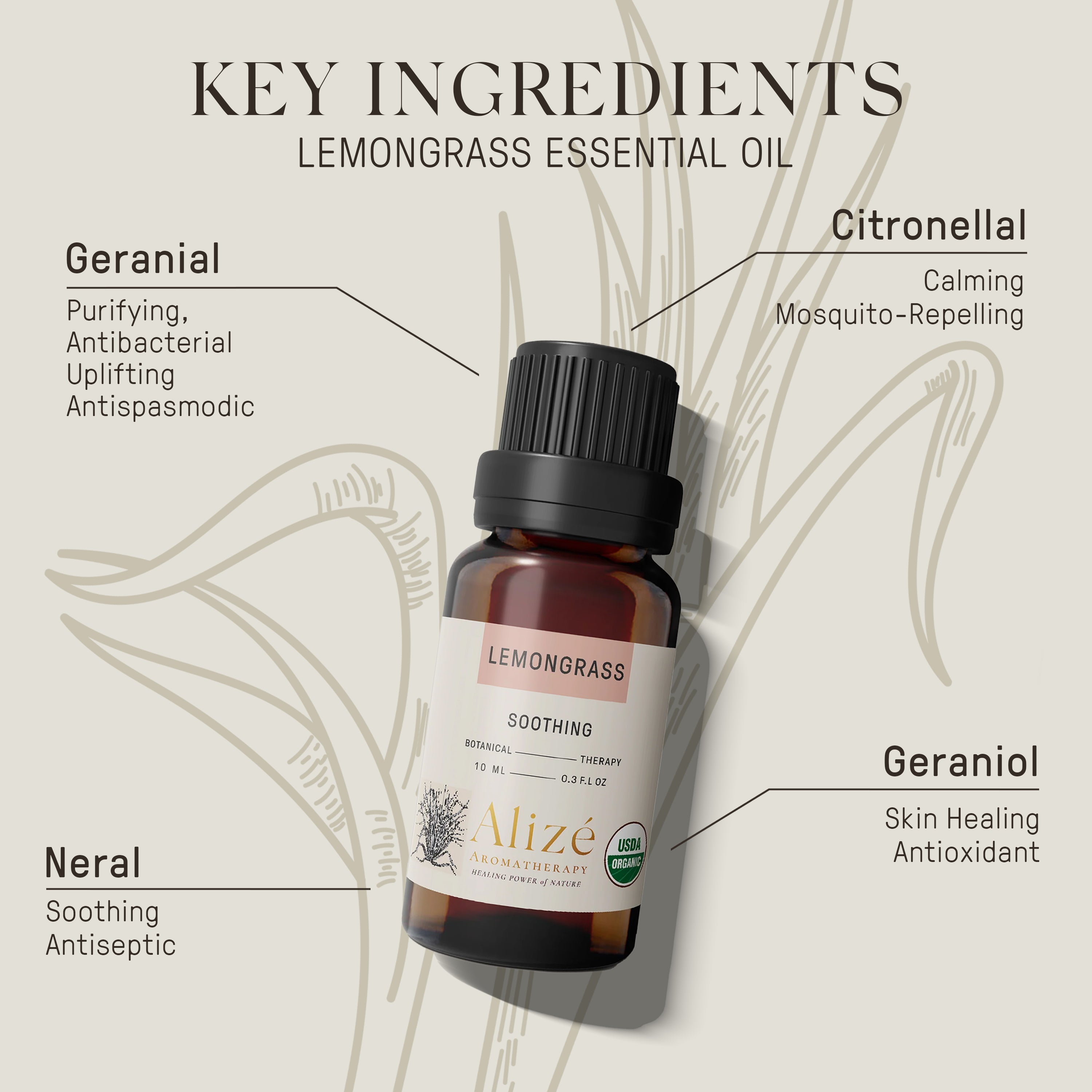 Organic Lemongrass Essential Oil - 10ml
