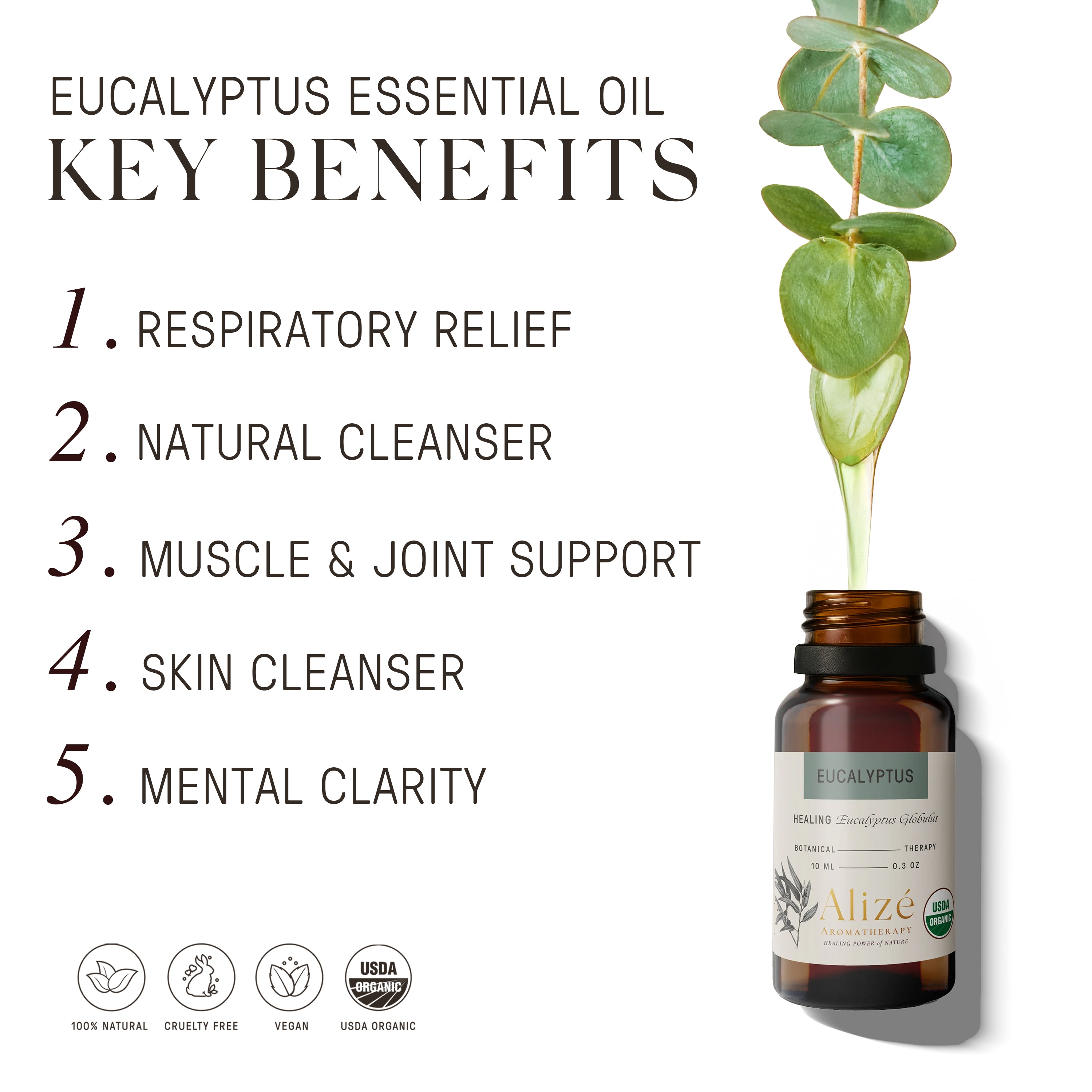 Organic Eucalyptus Essential Oil - 10ml