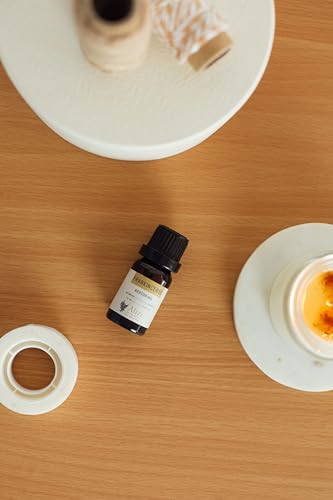 Alize Living Gemini Essential Oil Set