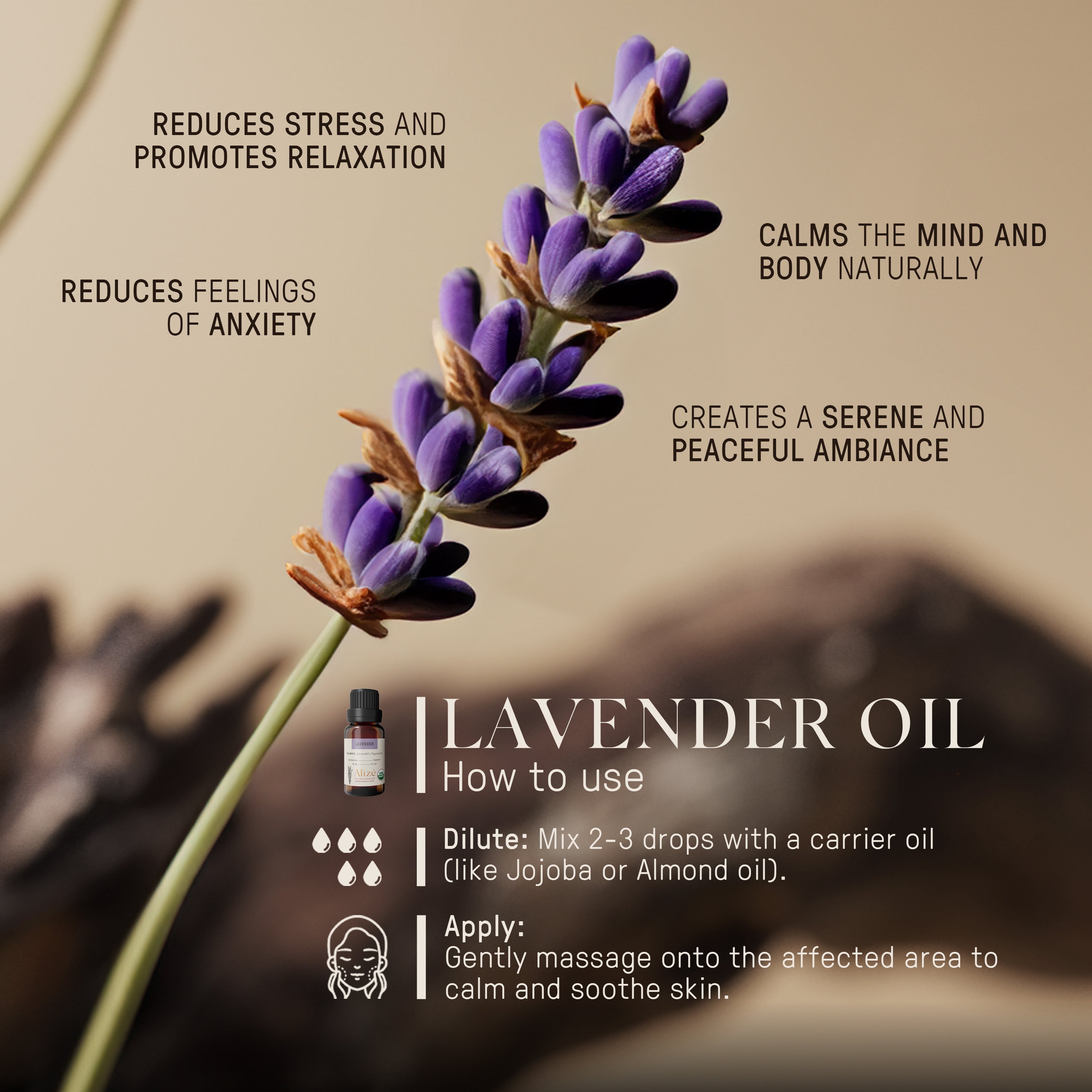 Organic Lavender Essential Oil - 10ml