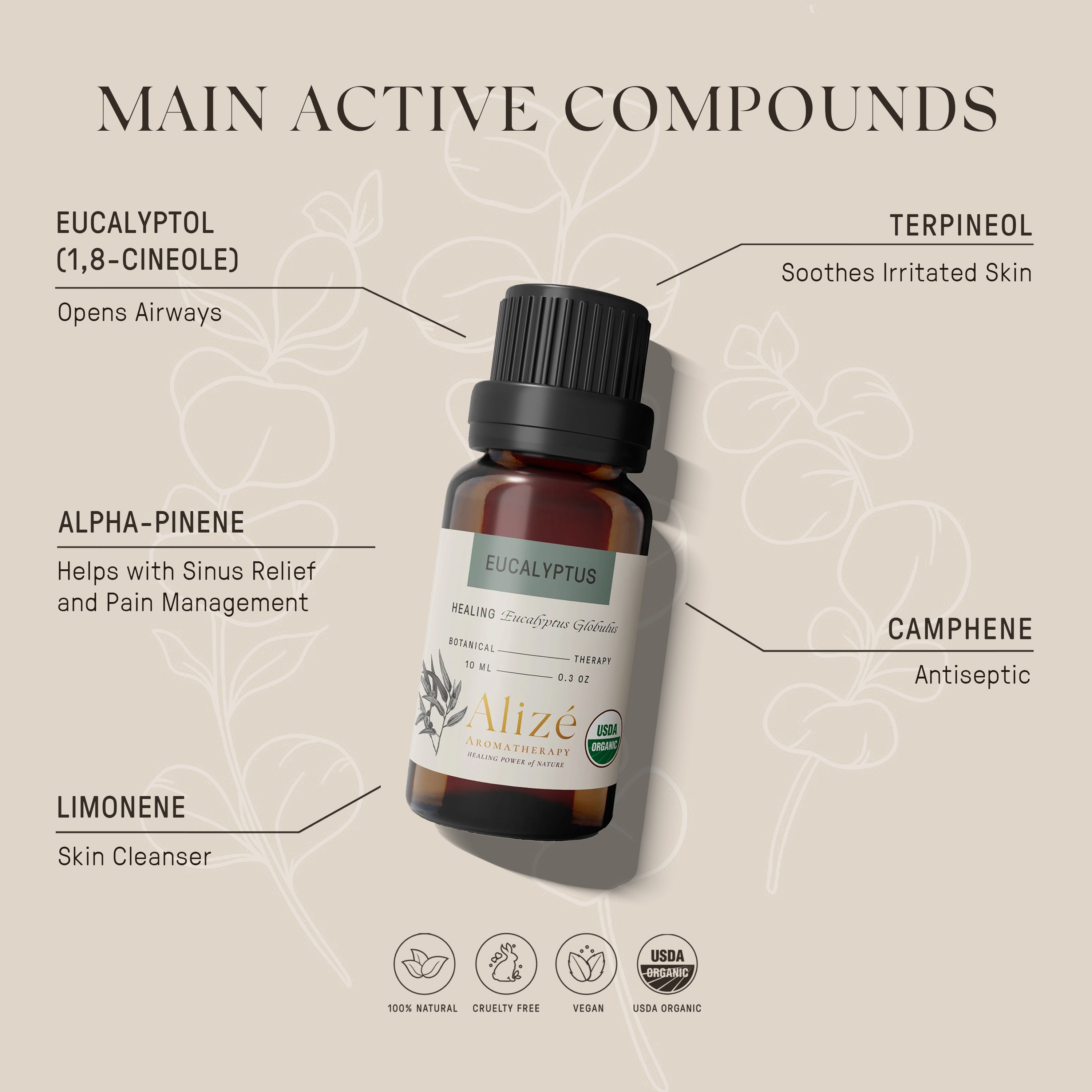 Organic Eucalyptus Essential Oil - 10ml