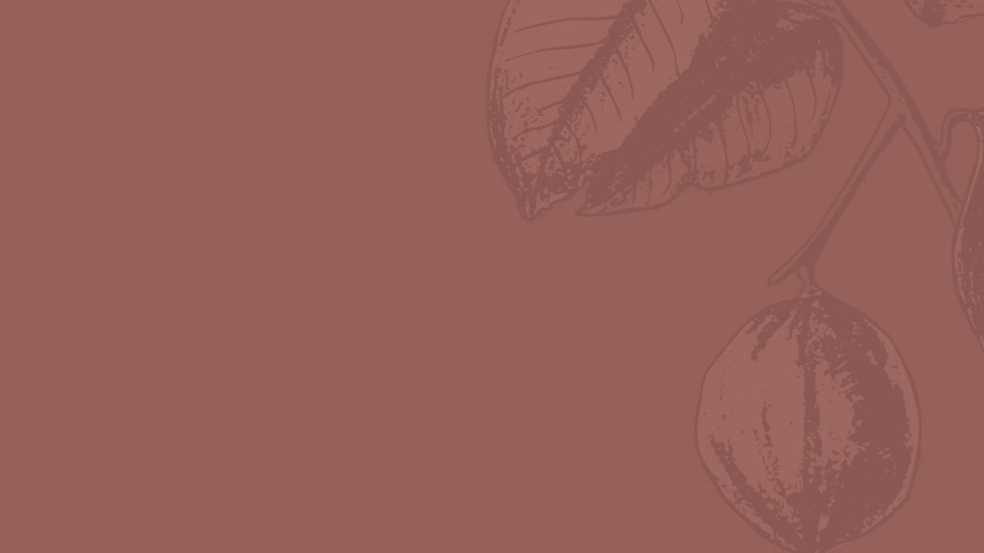 Organic Bergamot Essential Oil - 10ml