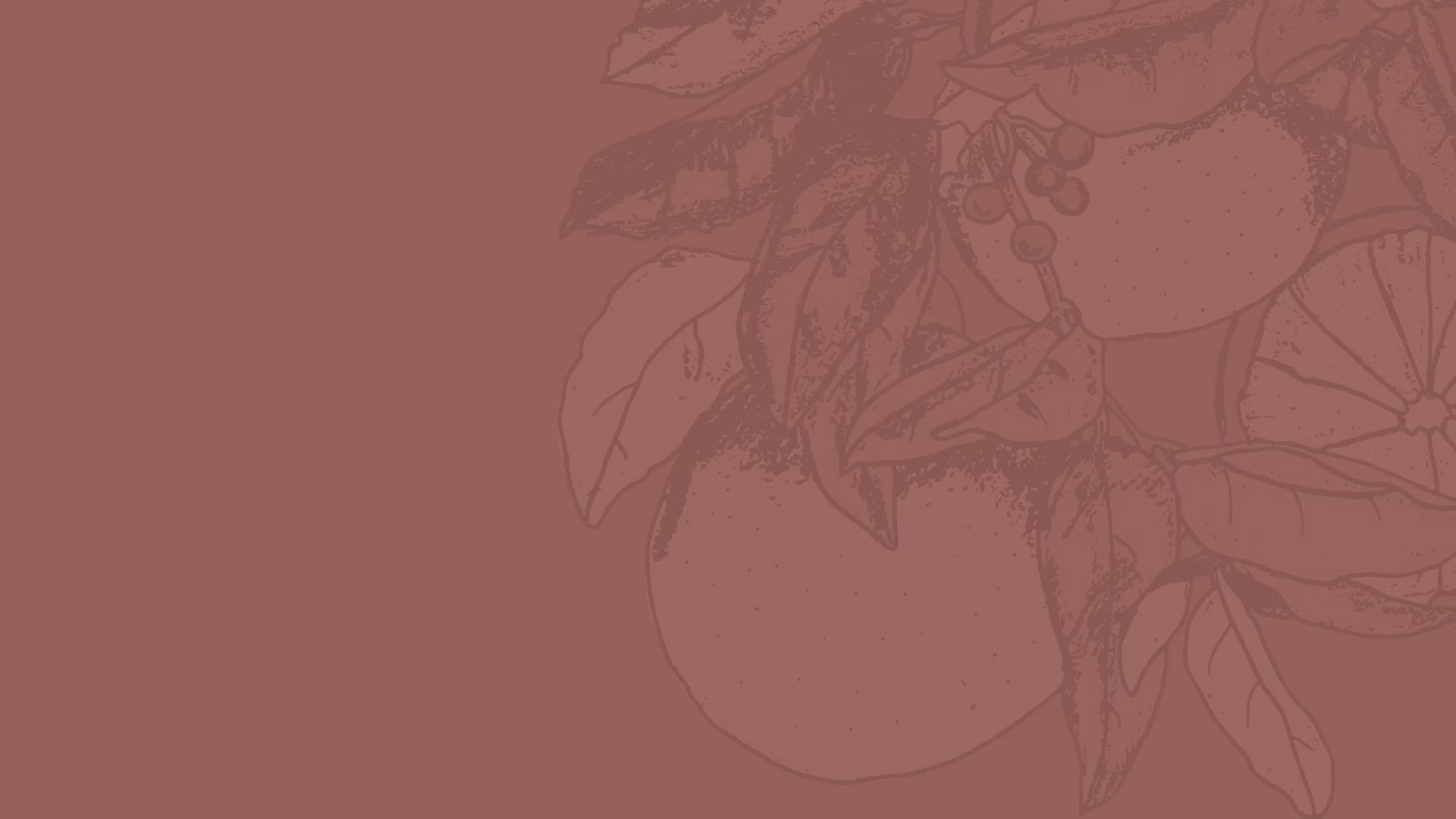 Organic Grapefruit Essential Oil - 10ml