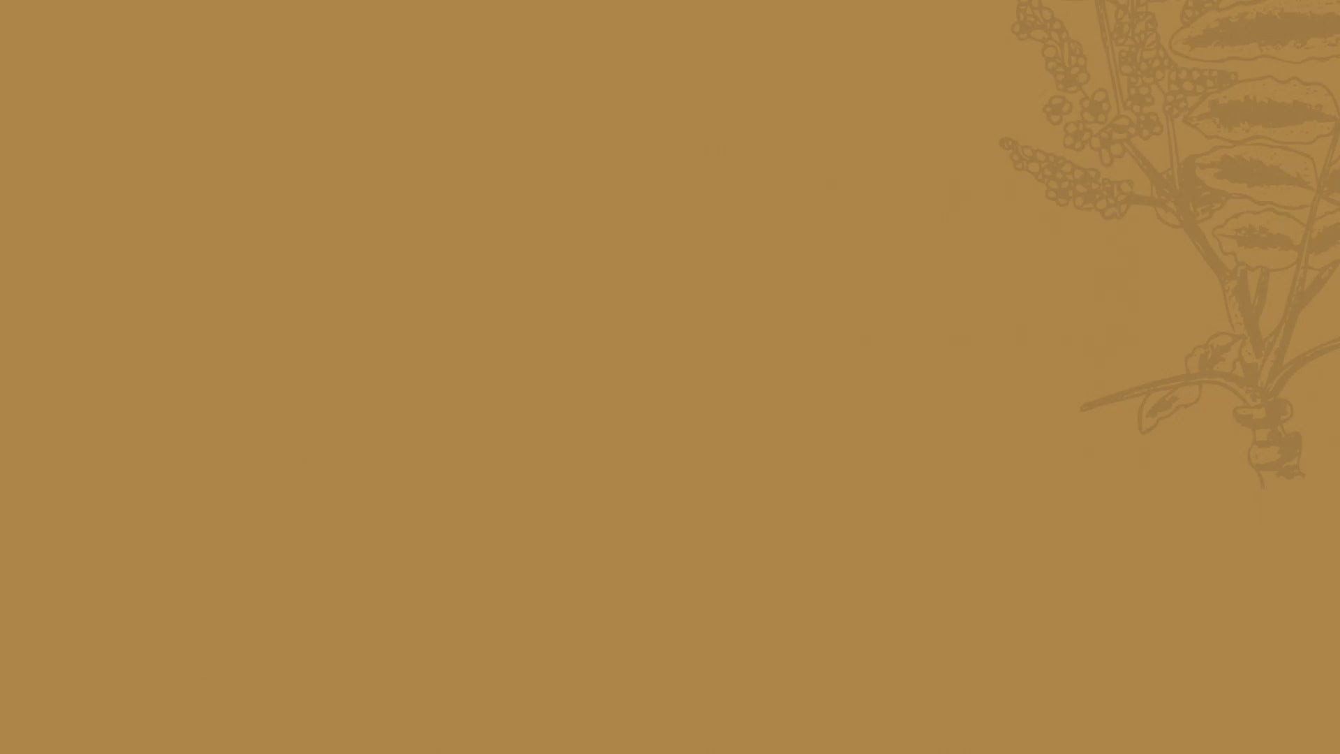 Frankincense Essential Oil - 100% Pure - 10ml Natural Aromatherapy Oil for Skin & Relaxation