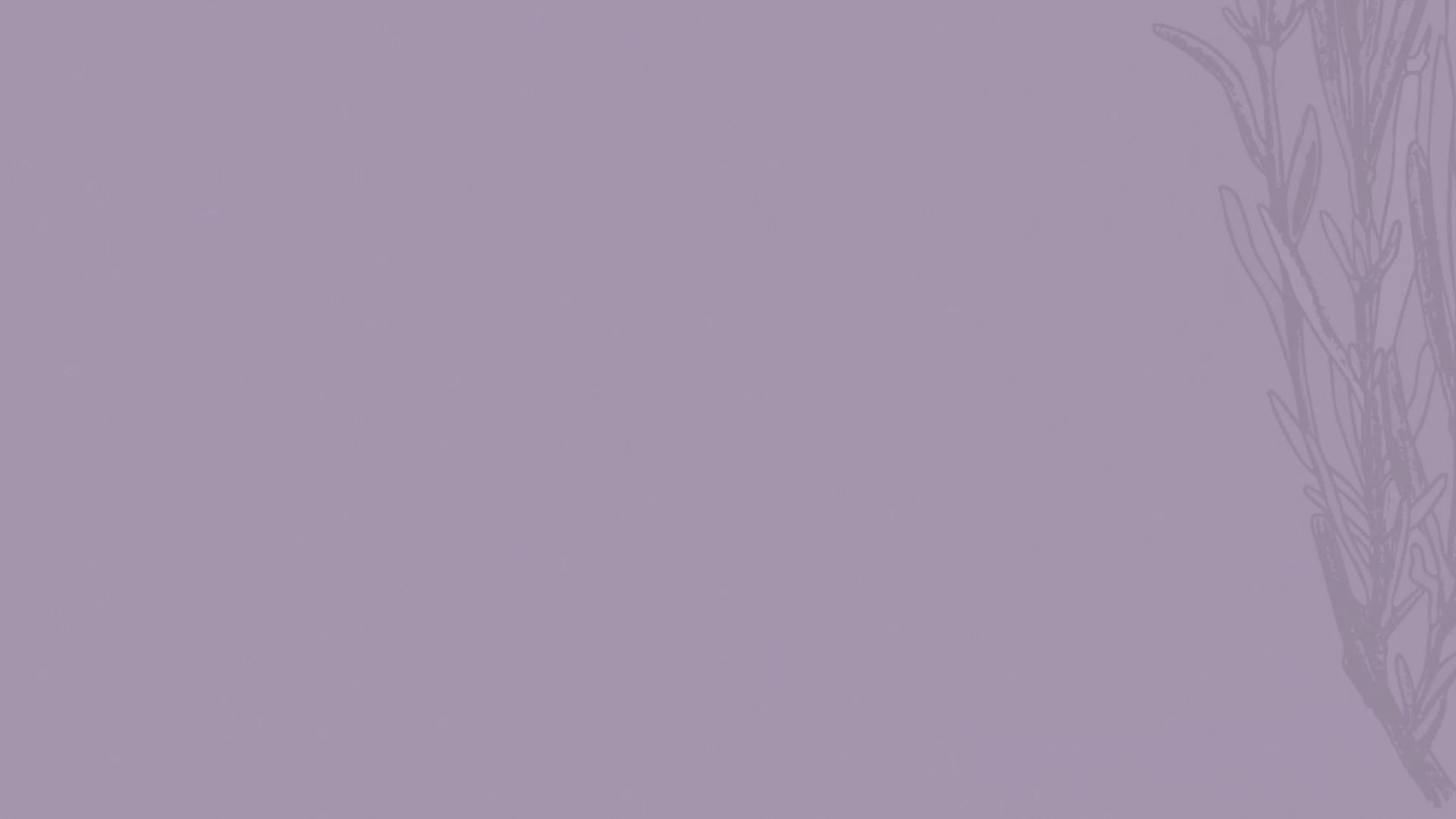 Organic Lavender Essential Oil - 10ml