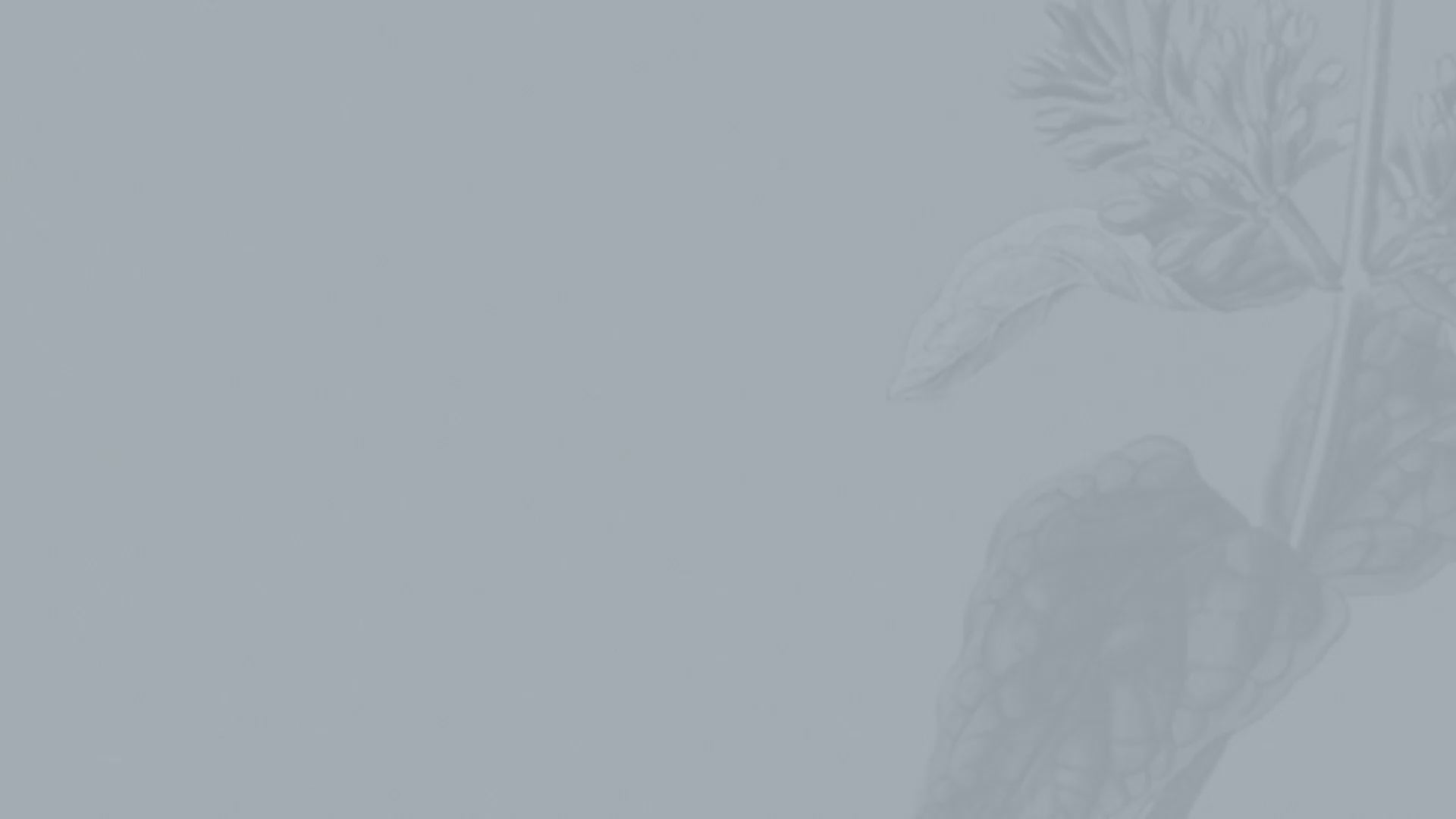 Organic Patchouli Essential Oil - 10ml