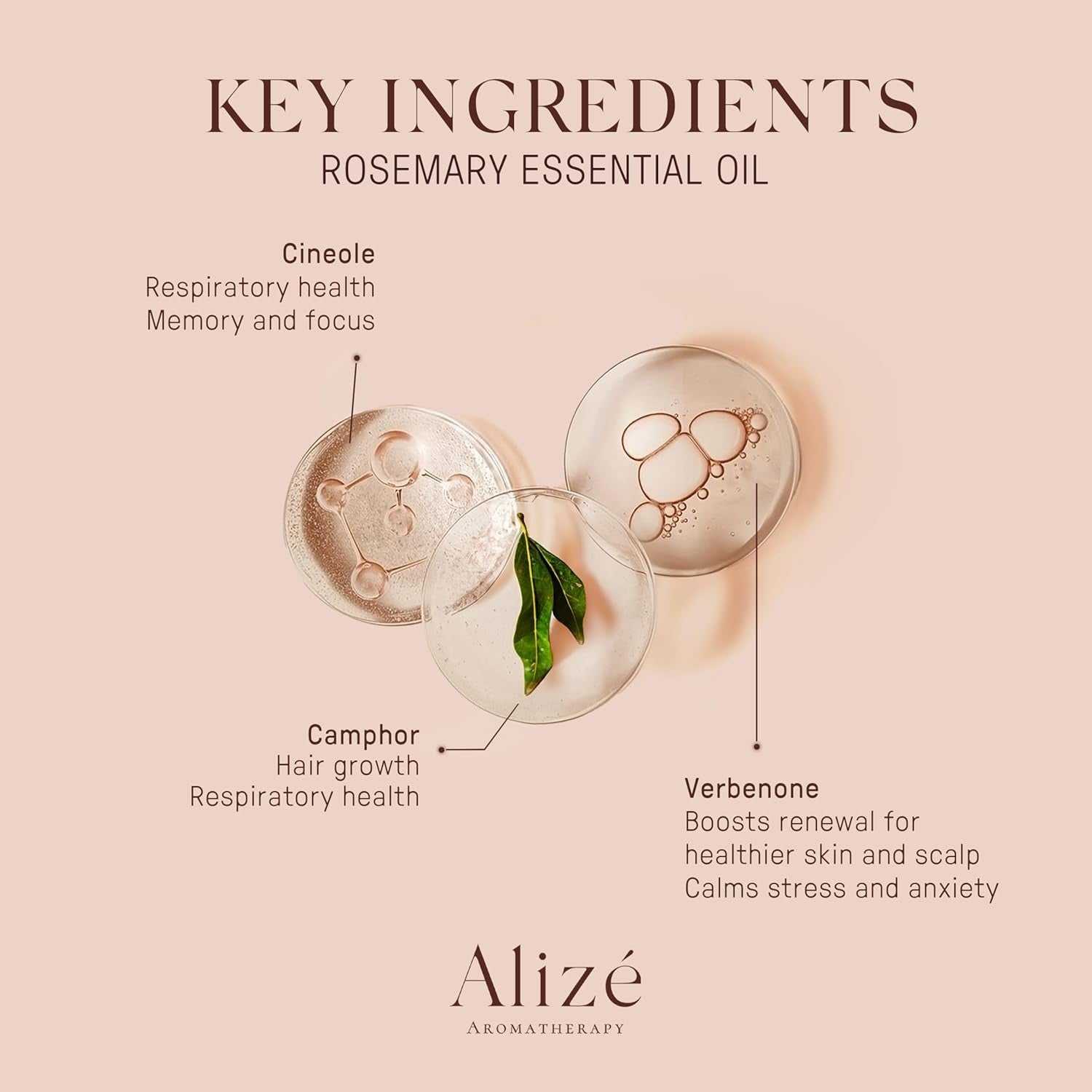 Organic Rosemary Essential Oil - 10ml